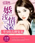 婚浅情深:季少的大牌宠妻