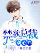 禁欲总裁,别心痒!