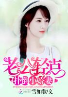 扑倒小娇妻:老公,轻点!