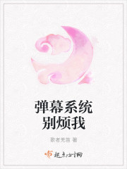 弹幕系统别烦我