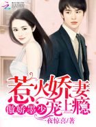 傲娇墨少:惹火娇妻宠上瘾