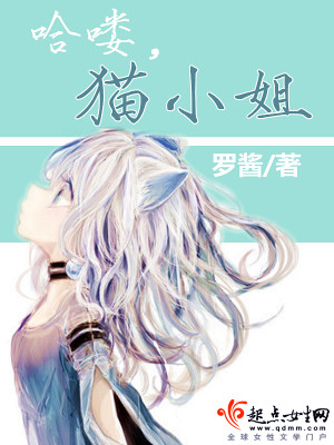 哈喽,猫小姐