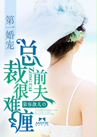 第一婚宠:总裁前夫很难缠