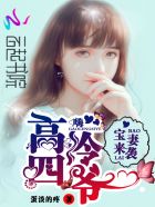宝妻来袭:嗨!高冷四爷