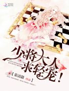 少将大人,求轻宠!