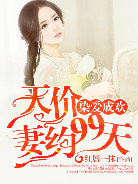 染爱成欢:天价妻约99天