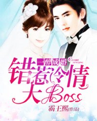 一醉成婚:错惹冷情大boss