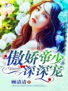 傲娇帝少,深深宠!