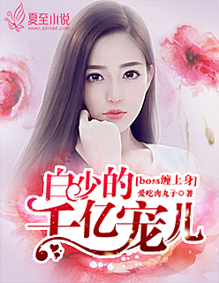 BOSS缠上身:白少的千亿宠儿