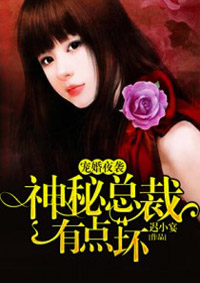 宠婚夜袭:神秘总裁有点坏