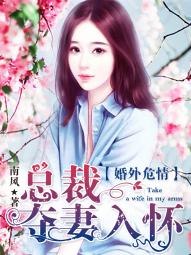 婚外危情:总裁夺妻入怀