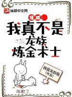 ���������治����������ʦ����