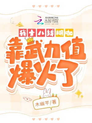 ��ʮ���ߺ�����������ֵ������