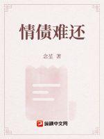 ��������ծ�ѻ�